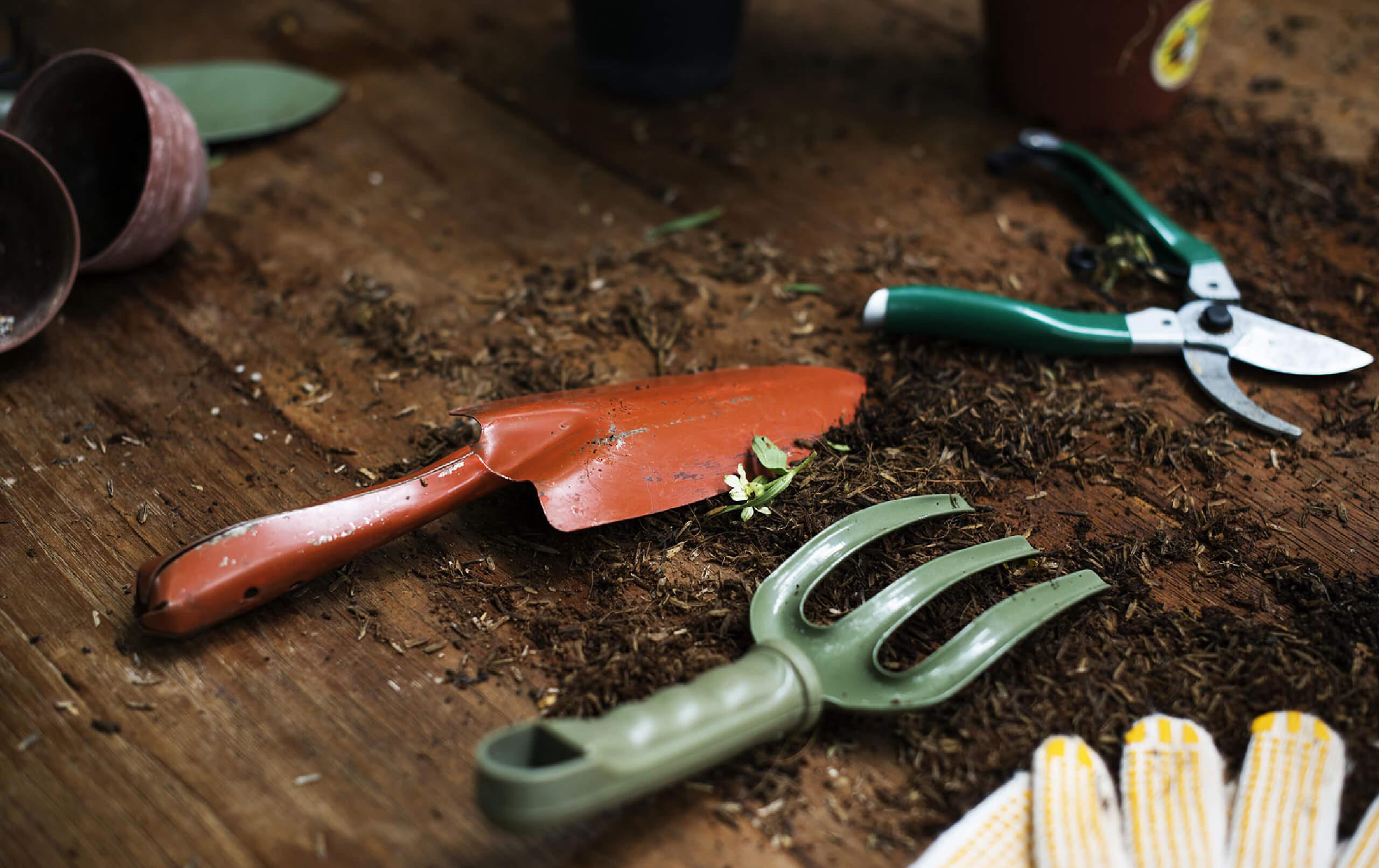 12 Essential Gardening Tools Every Homeowner Needs 2x 100