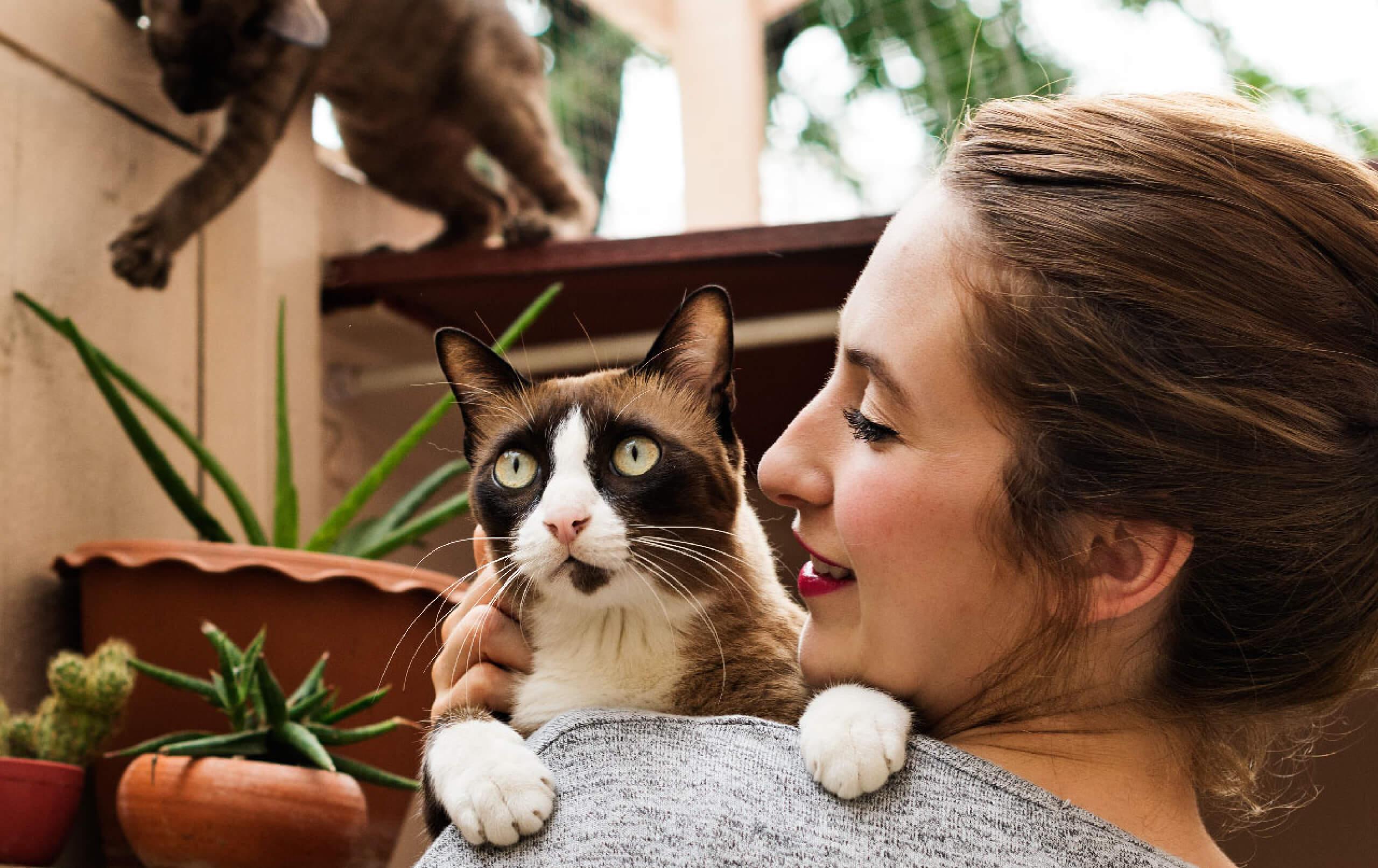 How to Keep Your Pets Safer by Animal Proofing Your Home 2x 100