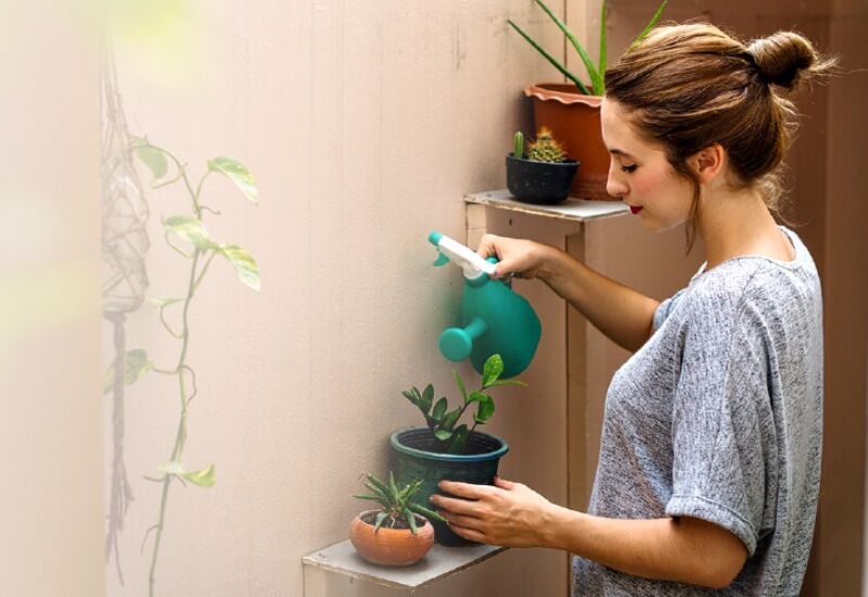 Dwellin Journal Landing Page Mobile Home 2x 100